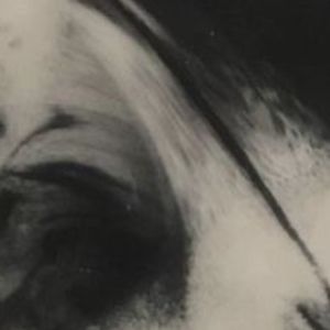 Meet your Posher, Treasure